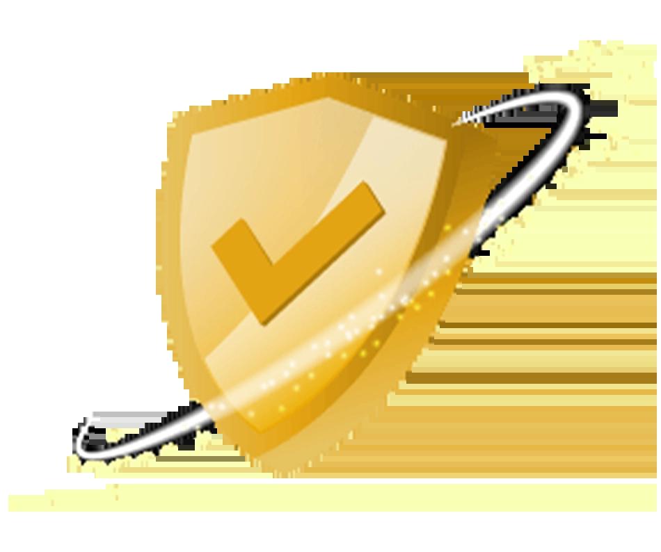 Men's Competition Barbell Set