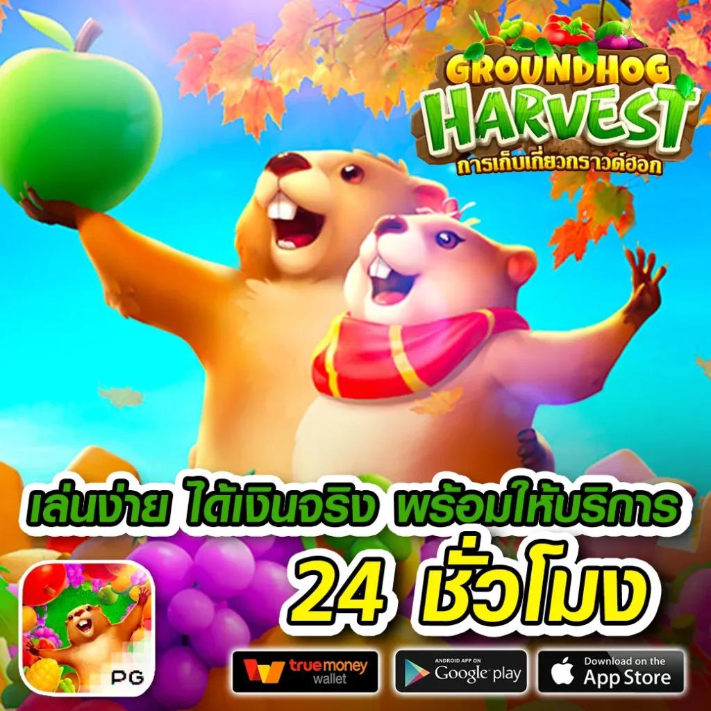 Men's Competition Barbell Set